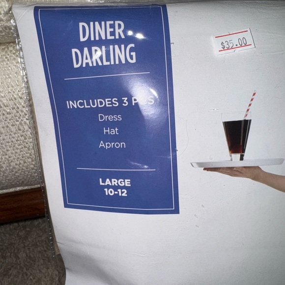 Diner Darling Pink Costume Set - Picture 2 of 4